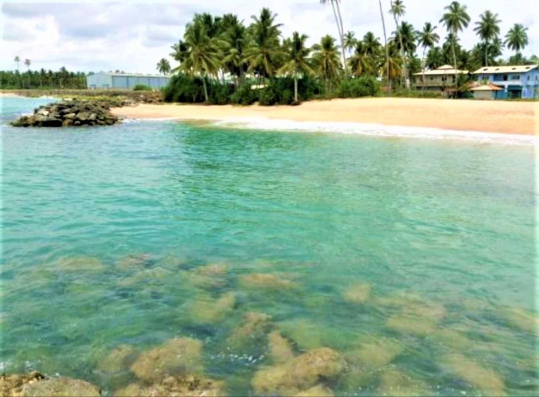 Sea Shell Villa Hikkaduwa 2 Separate Cabanas Ocean Front Villa Exteriér fotografie